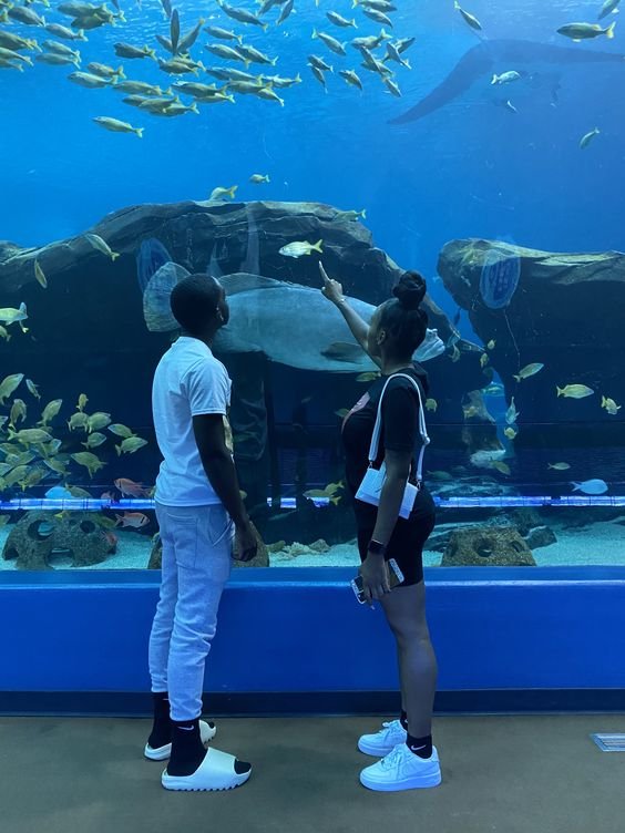 couple at the aquarium