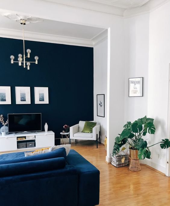 Colors That Go With Dark Blue_ Dark blue and white living room